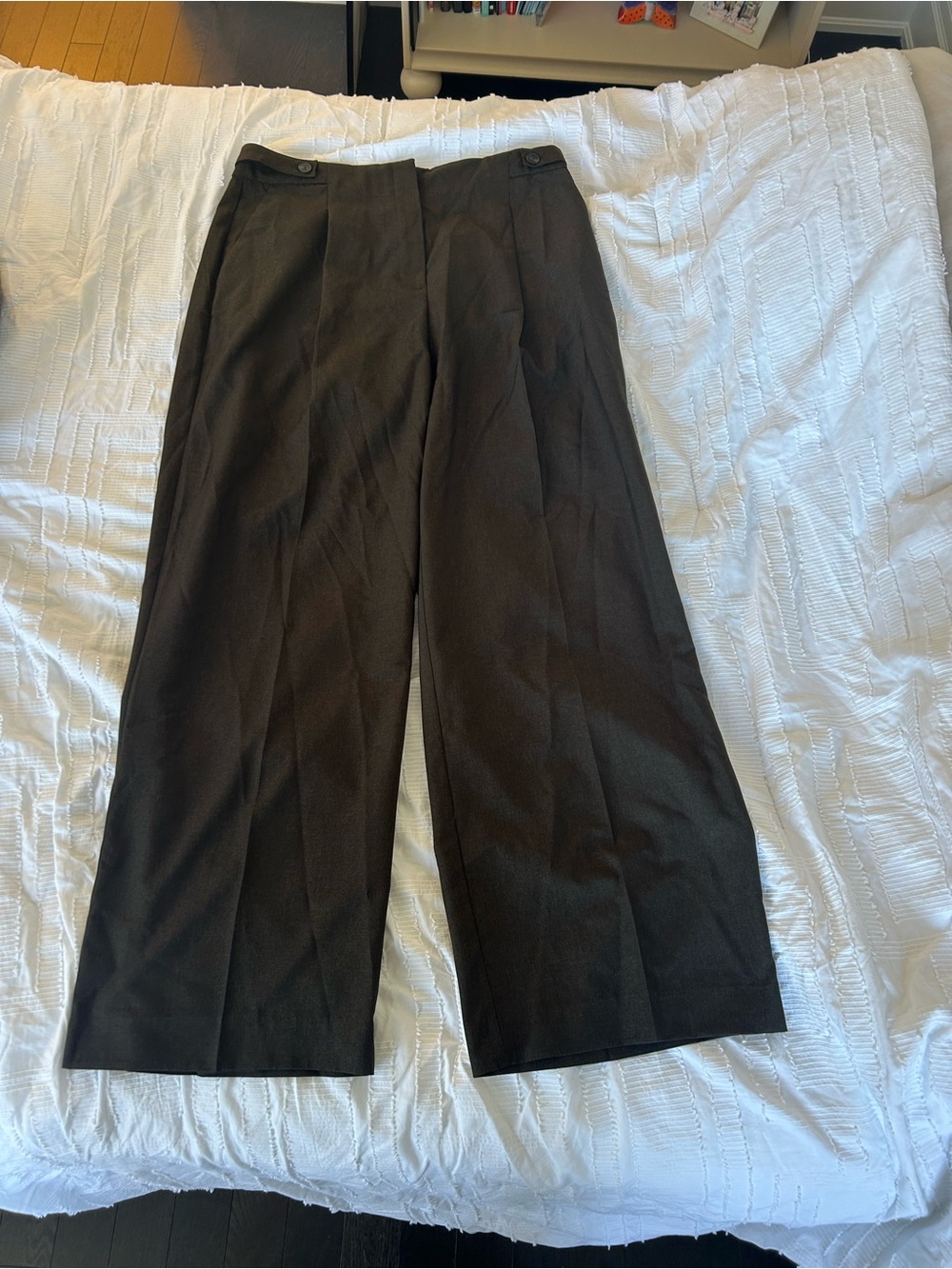 Zara women’s Wide-Leg Dress Pants — brown